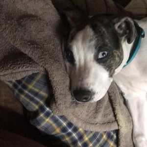 Meet your Posher, Stacy